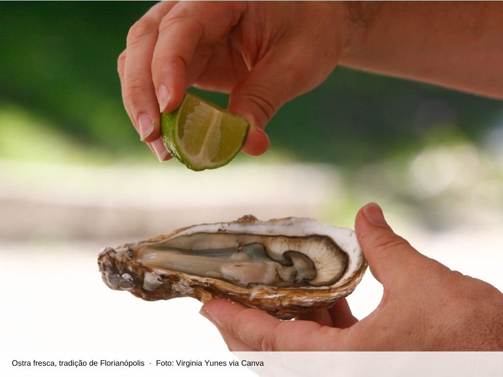 Ostra fresca aberta com limão