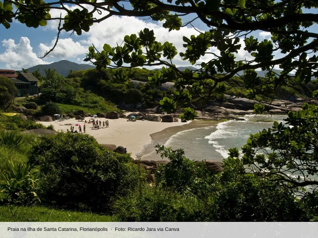 Praia cercada de mata na Ilha de Santa Catarina