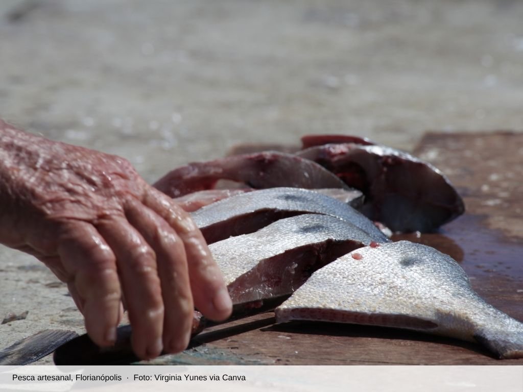 Pescador limpando tainha na pesca artesanal