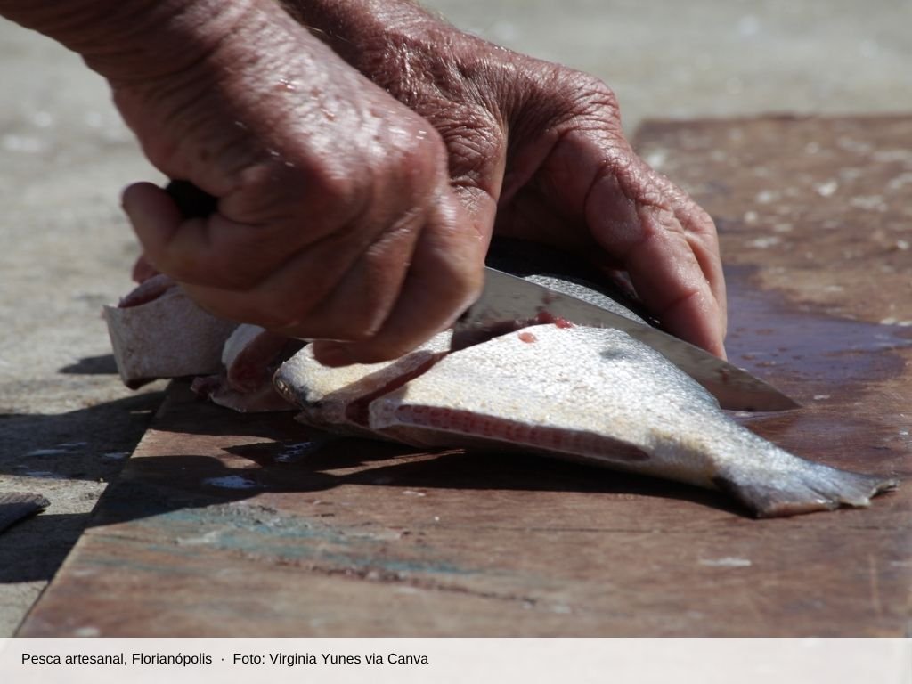Mãos de pescador cortando peixe na pesca artesanal